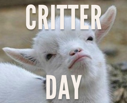 November 6th IS CRITTER DAY