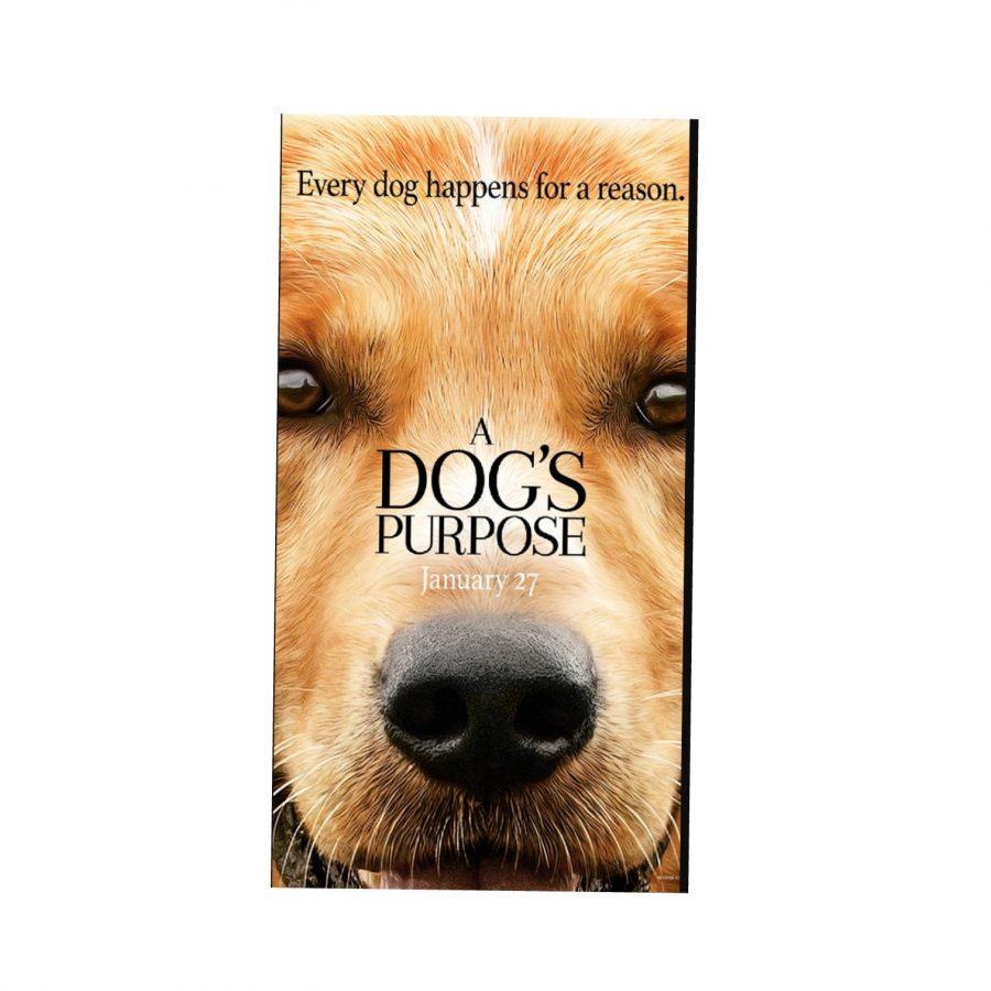 A Dogs Purpose Accused of Animal Abuse