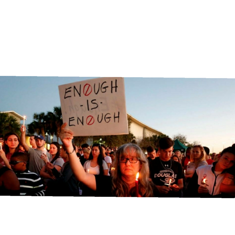 Marjory Stoneman Douglas High School, 18th School Shooting